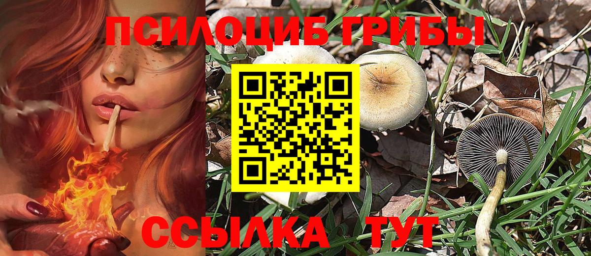 Псилоцибиновые грибы мицелий  Вход с VPN  Евпатория 