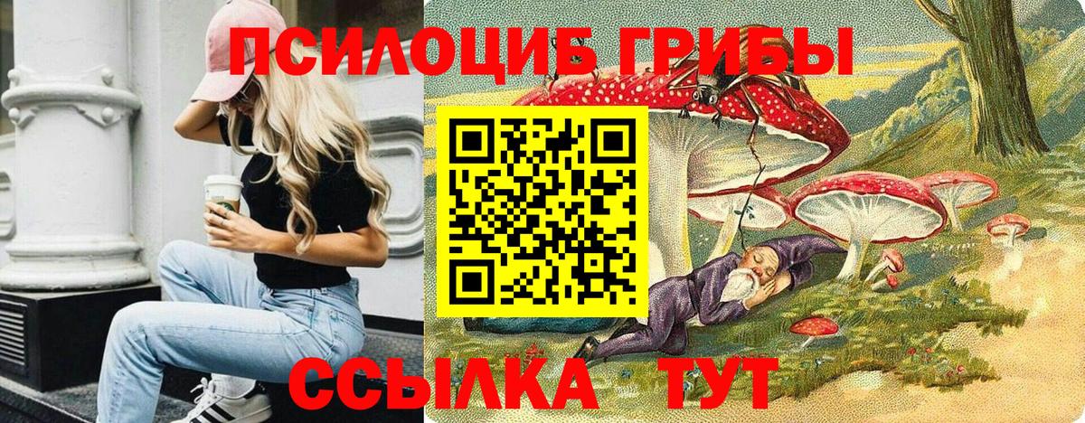 Псилоцибиновые грибы ЛСД Евпатория
